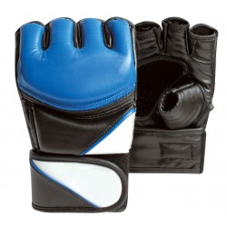 MMA Gloves