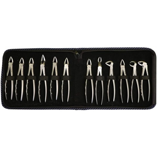 Extracting Forceps Kit